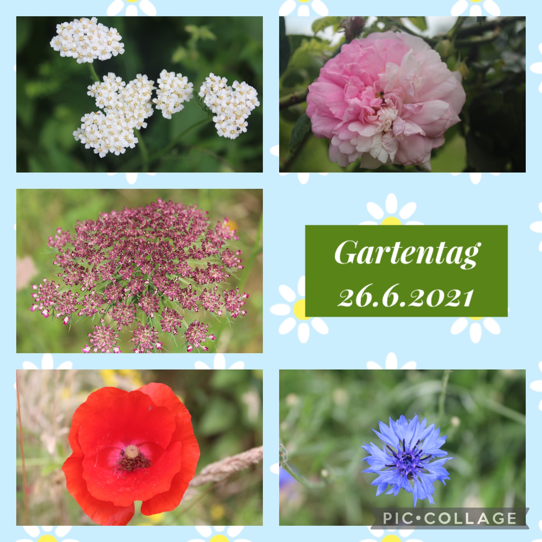 gartentag